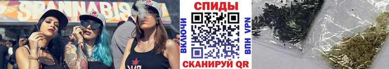 блэк спрут ССЫЛКА  Шилка  Бутират бутандиол  купить закладку 