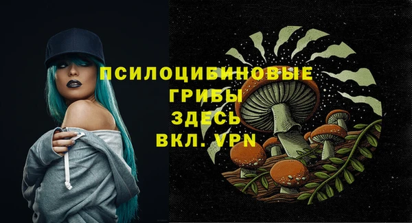 соль ск Абинск