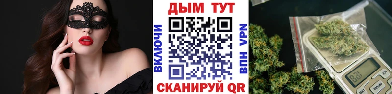 MEGA онион  Шилка  Конопля MAZAR  где купить наркоту 